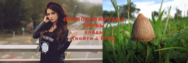 бошки Аркадак