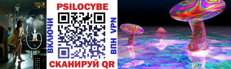 Псилоцибиновые грибы прущие грибы  дарнет шоп  Спасск-Дальний 